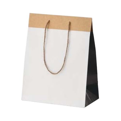 手提げ紙袋 バイカラー 幅22×奥行12