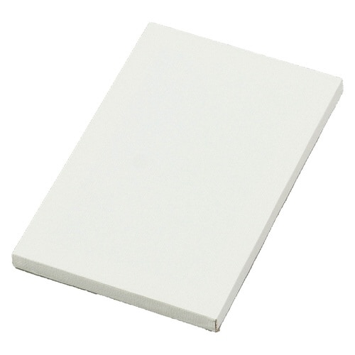 ミニキャンバス 大