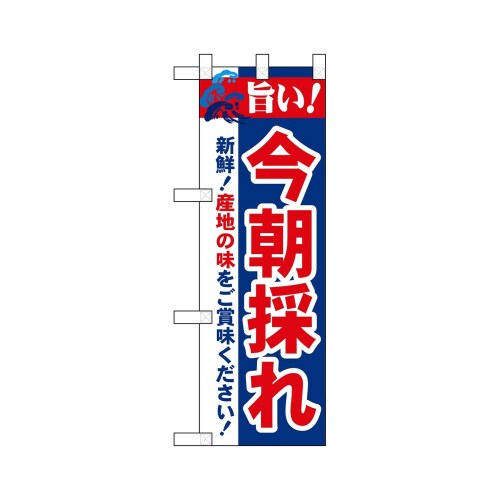 ハーフのぼり68457今朝採れ旨い!