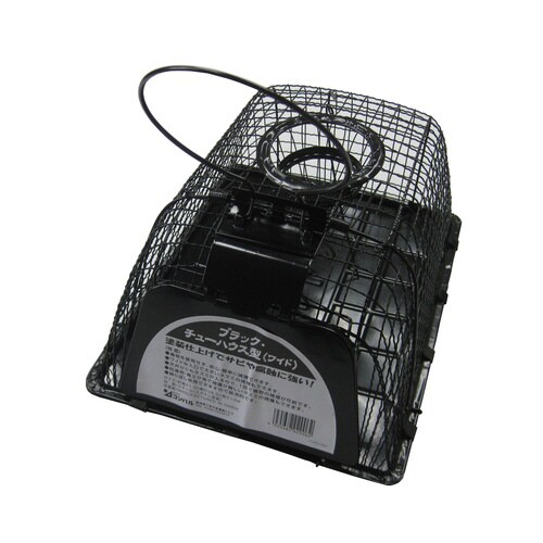 チューハウス型 ワイド