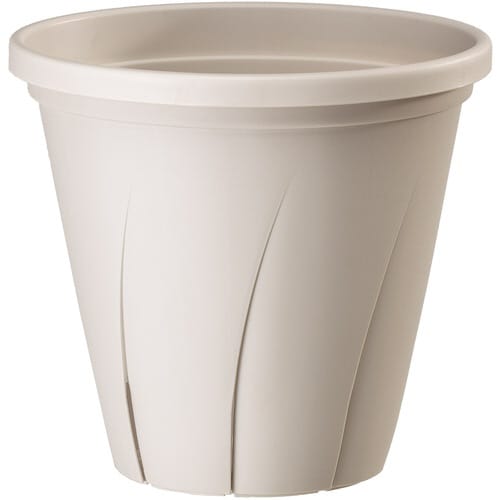 根はり鉢 8号 ホワイト