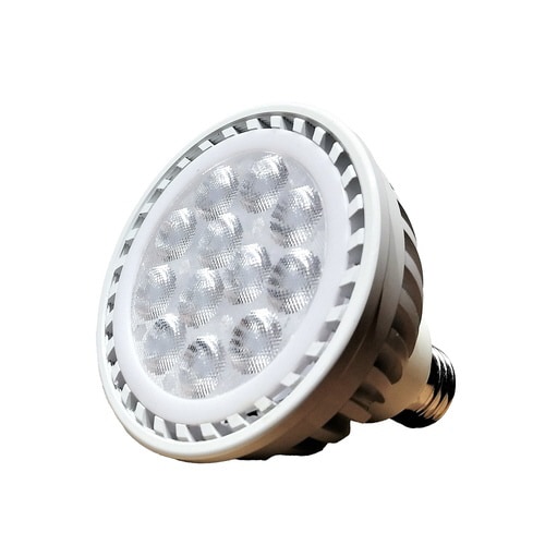 プランツネクスライト