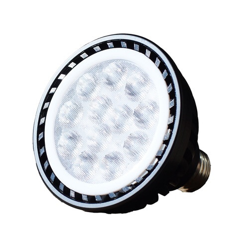 プランツネクスライト