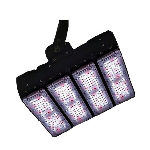 プランツネクスライト