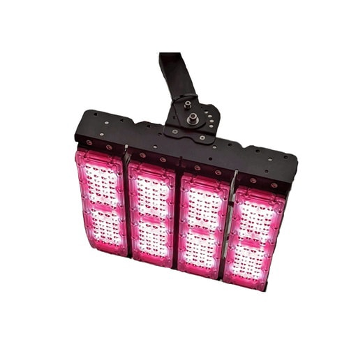 プランツネクスライト