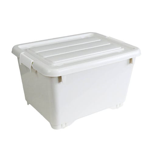 コロモ 50深 アイボリー