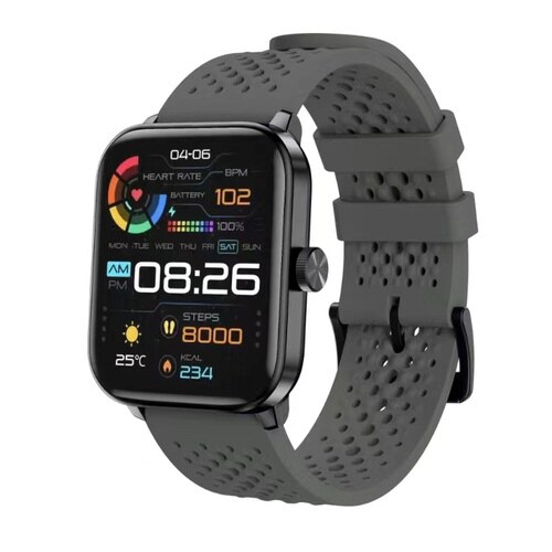 SMART R F−19 グレー