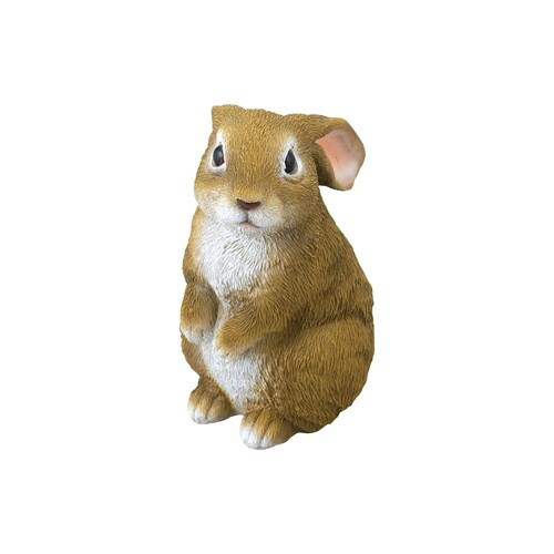 ミニうさぎ