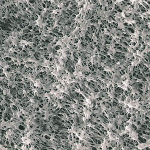 SIBATA メンブレンフィルター H020A14