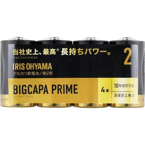 IRIS 102724 アルカリ乾電池 BIGCA