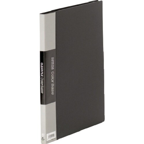 KING JIM クリアーファイルカラーベースW