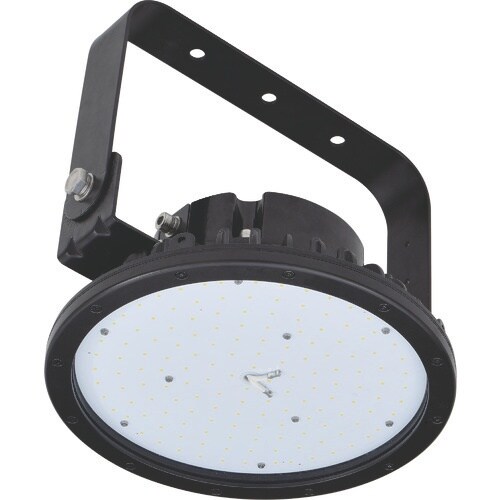 NICHIDO 耐食耐酸LEDタフデス タフネスデ