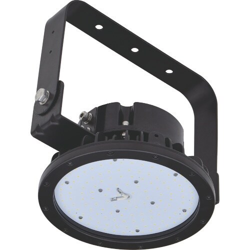 NICHIDO 耐食耐酸LEDタフデス タフネスデ