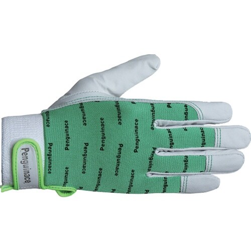 ペンギンエース 国産牛本革手袋 エレカー (グリー