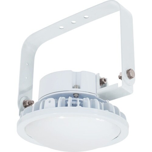 NICHIDO ハイスペックハイディスク100W