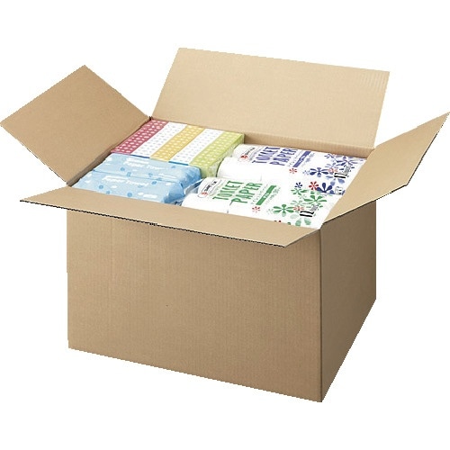 JTX 177193)ダンボール箱 特大10枚 B