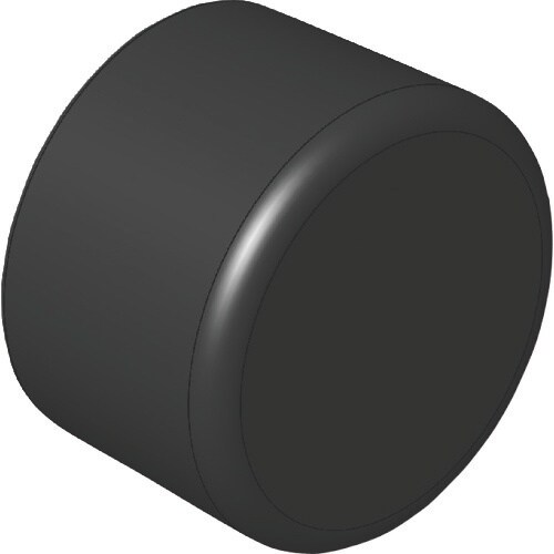 アインツ パイプエンドキャップ(黒)・φ12