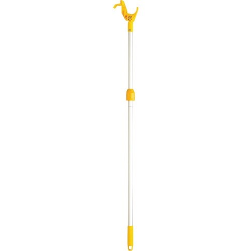 未来 のぼらん棒