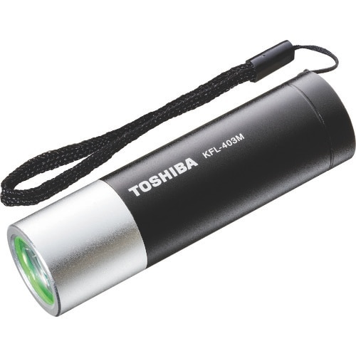 東芝 LEDミニライト