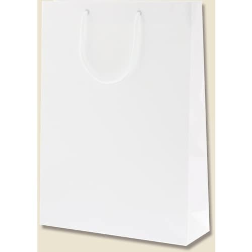 HEIKO 手提げ紙袋 ブライトバッグ G2 白