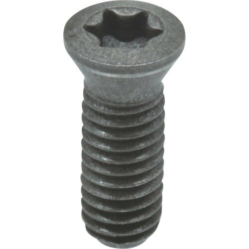 イマオ TRIG用スクリュー