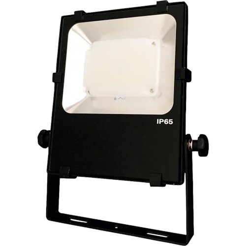 NIKKI LED投光器 30W AC100−12