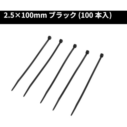 アストロプロダクツ 結束バンド100mm 100本