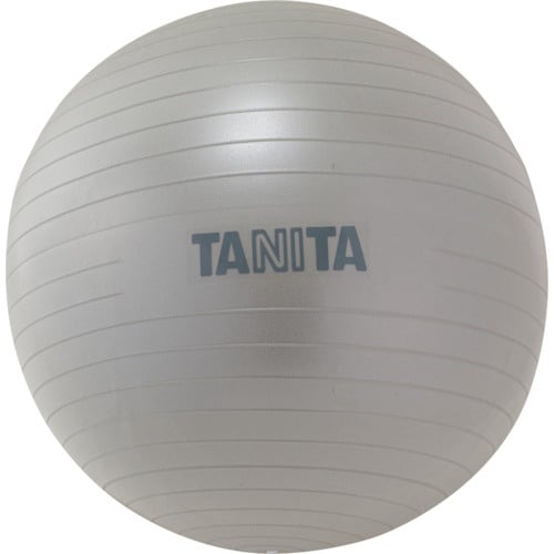 TANITA ジムボール TS−962−SV