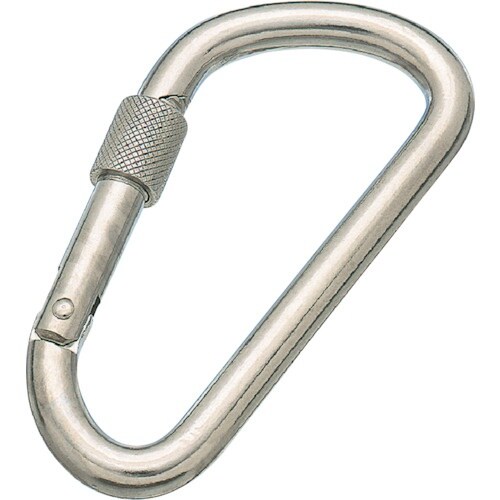 水本 ステンレス カラビナD型 SUS316 環付