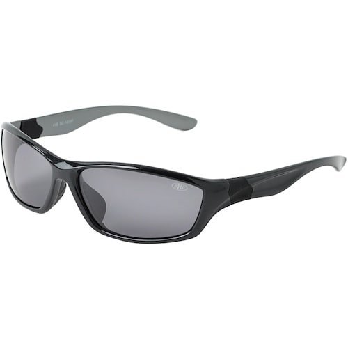 アックス (AXE) サングラス 偏光レンズ エン