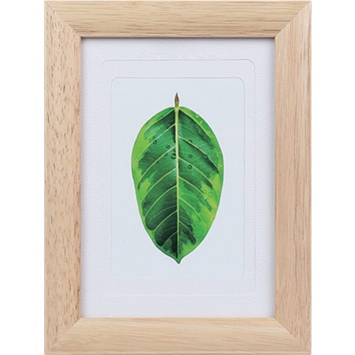 Kenko 1250172 写真立て ゴムの木 ナ