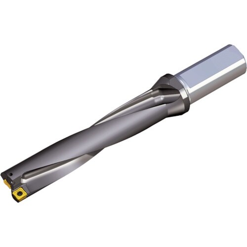 TAEGUTEC 刃先交換式ドリルホルダー トップ