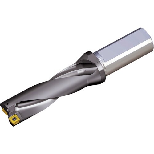 TAEGUTEC 刃先交換式ドリルホルダー トップ