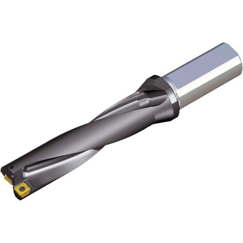 TAEGUTEC 刃先交換式ドリルホルダー トップ