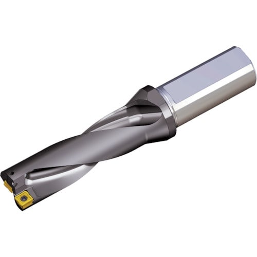 TAEGUTEC 刃先交換式ドリルホルダー トップ