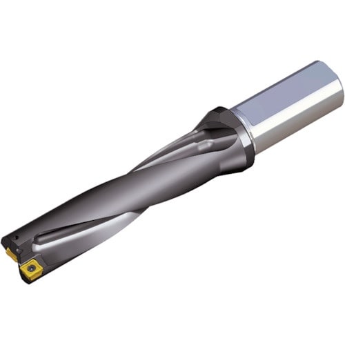 TAEGUTEC 刃先交換式ドリルホルダー トップ