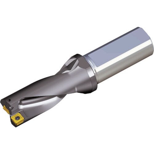 TAEGUTEC 刃先交換式ドリルホルダー トップ