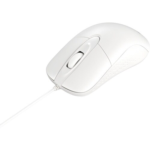 BUFFALO 【期間限定2025年9月30日まで