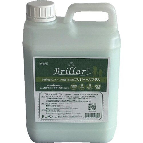 EL FUTURO ブリジャールプラス 内装用 2