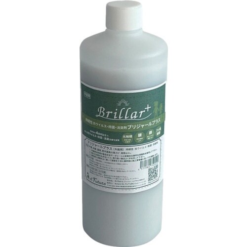 EL FUTURO ブリジャールプラス 外装用 5