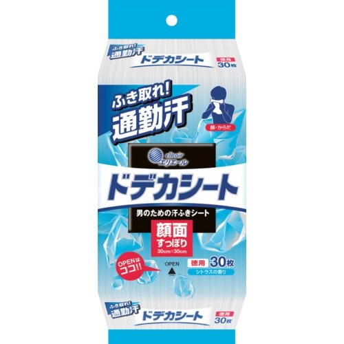 エリエール ゴシゴシふけるドデカシート30枚 12