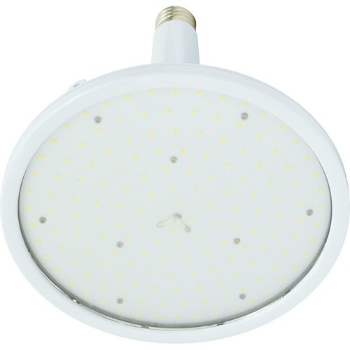 NICHIDO ハイスペックハイディスク125W