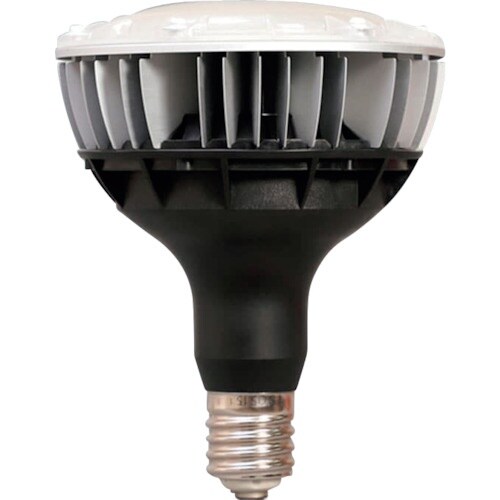 IRIS 273957 E39口金 バラストレス水