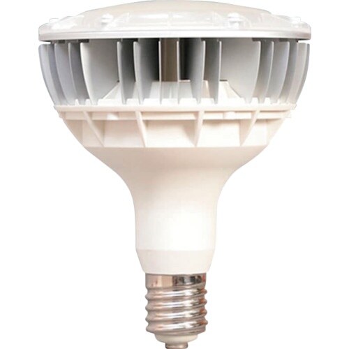 IRIS 273956 E39口金 バラストレス水