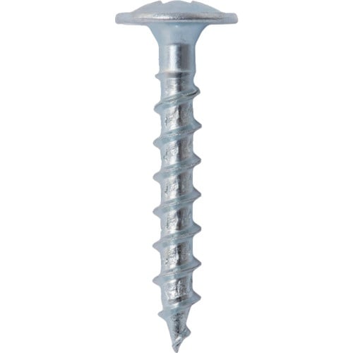 WAKAI VP)座付ナベビス 25