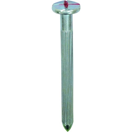 DAIDOHANT メジャーネイル(測量釘) No