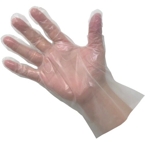 クイン バイオマス手袋PE 100枚入 L