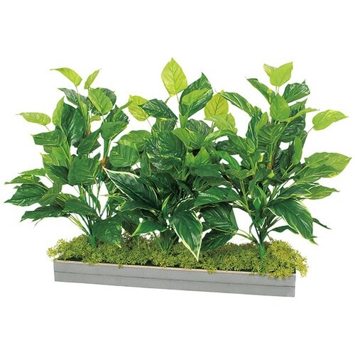 NAIKI ワイドグリーン(H650)