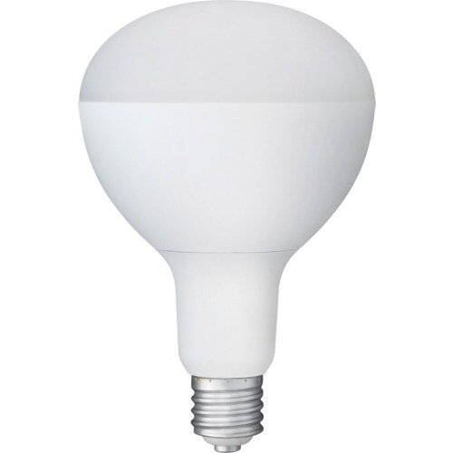 IRIS 107946 PROLEDS LED電球