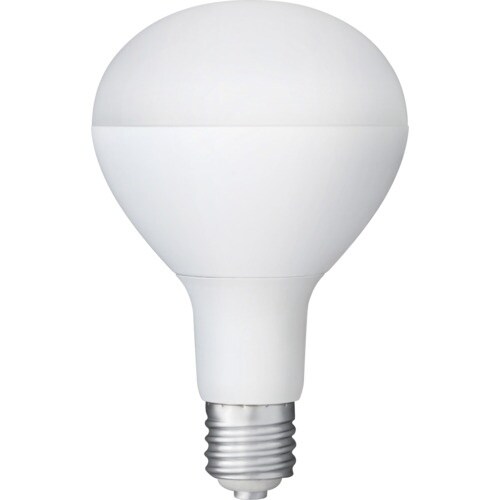IRIS 107945 PROLEDS LED電球